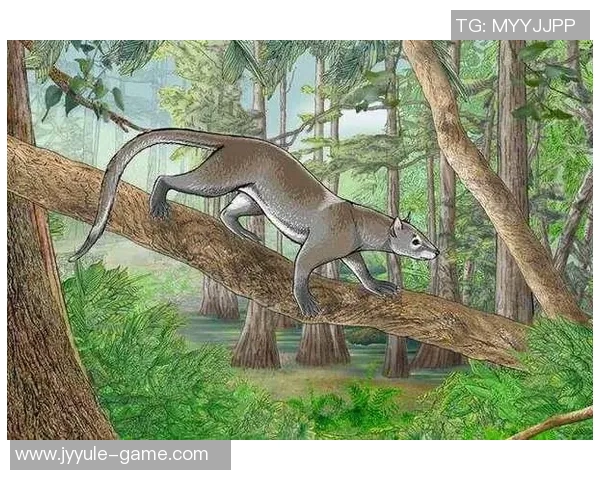 足球四大球星与动物形象对比分析 谁是场上最强猛兽